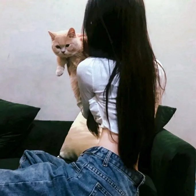 绿衣骑士